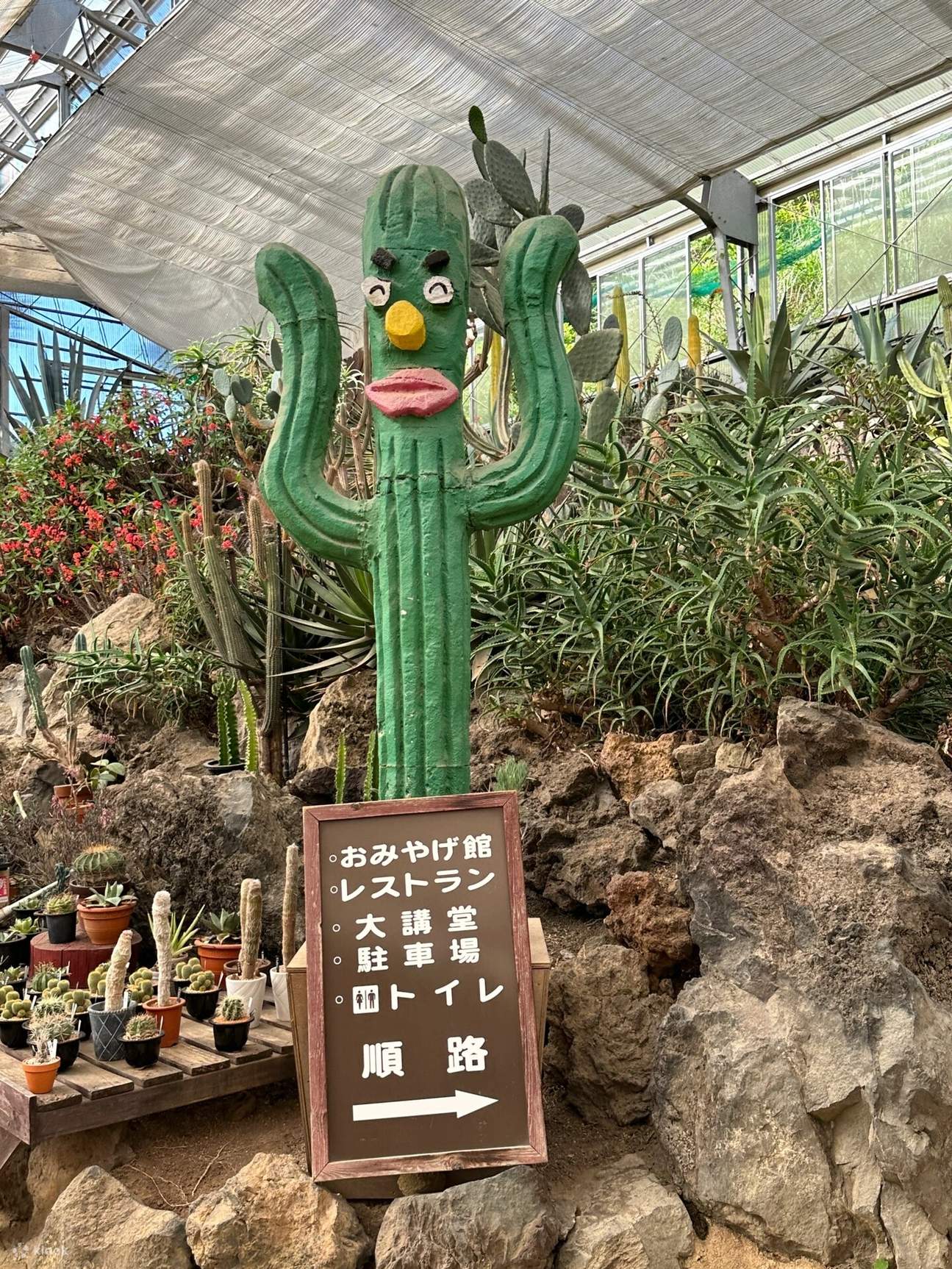 Hot Cactus Echo Park Hakone Izu Day Tour|Hakone Shrine & Izu Cactus Zoo & Capybara Hot